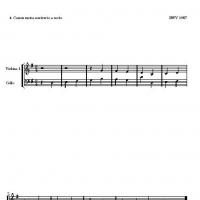14 Kanons By Bach