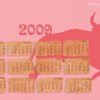 2009 Bull Shadow Calendar