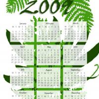 2009 Fern Calendar
