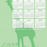 2009 Giraffe Shadow Calendar