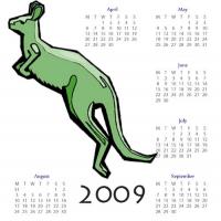 2009 Kangaroo Shadow Calendar