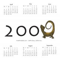2009 Lizard Calendar