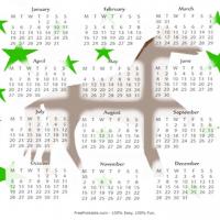 2009 Racing Horse Shadow Calendar