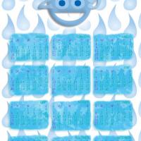 2009 Rainy Days Themed Calendar