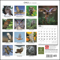2011 owll calendar
