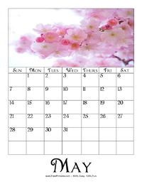 May 2023 Picture Calendar