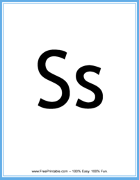 Flash Card Letter S