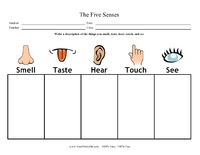 5 Senses Chart
