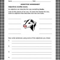 Adjective Usage Worksheet