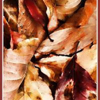 Autumn Leaves Bookmark
