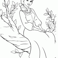 Belle Sitting on a Branch