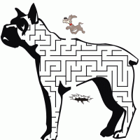 Bulldog Maze
