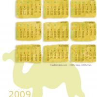 Camel Shadow Calendar