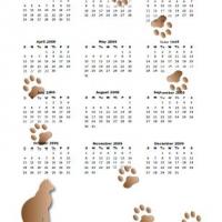 Cats Paw Prints 2009 Calendar
