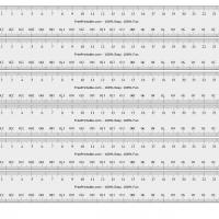 Centimeter Ruler