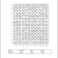 Christmas Story Word Search