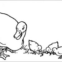Duck Coloring Pages on Duck Coloring Book