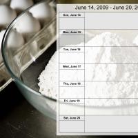 Food Themed Weekly Planner Jun 14 to Jun 20 2009