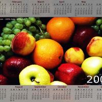 Fruits 2009 Calendar