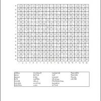 General Word Search
