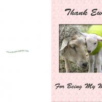 Goat And Ewe