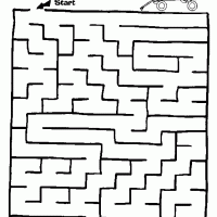Help The Animals Make It To The Finish