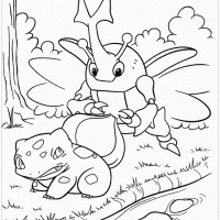Heracross and Bulbasaur
