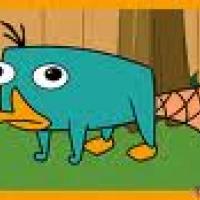 A Blue Platypus