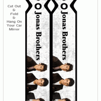 Jonas Brothers Car Ribbons