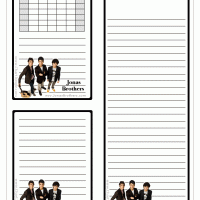 Jonas Brothers Minicards and List