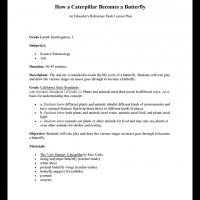 Kindergarten &amp; Grade 1 Science: How a Caterpillar Becomes a Butterfly