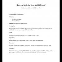 Kindergarten Science: How Are Seeds the Same and Different
