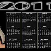 Lady Gaga 2011 Calendar