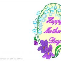 Lavender Flowers