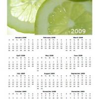Lime Themed 2009 Calendar