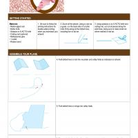 Madagascar Pretty in Pink Paper Plane