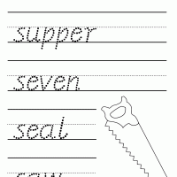 S Script Type