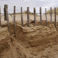 Sand Dune With Wooden Fence