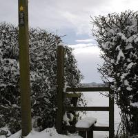 Snow Topped Stile And Footpath