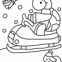 Snowmobiling Turtle