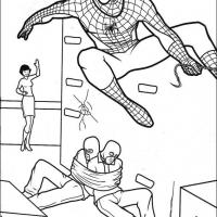 Spiderman Captures Robbers