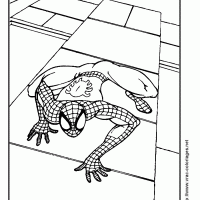 Spiderman Climbing a Wall