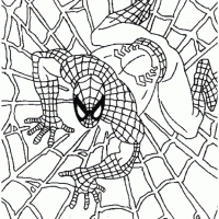 Spiderman Crawling