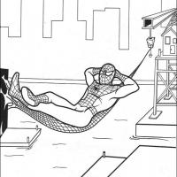 Spiderman Lying on a Spiderweb Hammock