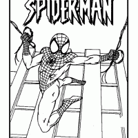 Spiderman Swinging