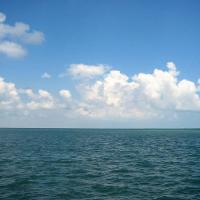 Tranquil Sea