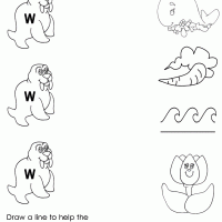 W Draw a Line