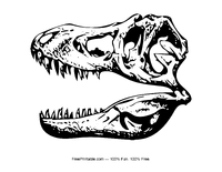TRex Skull