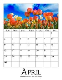 April 2023 Picture Calendar