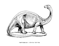 Brontosaurus